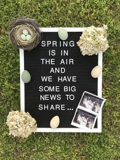 a sign that says spring is in the air and we have some big news to share