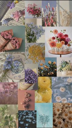 a collage of photos with different flowers