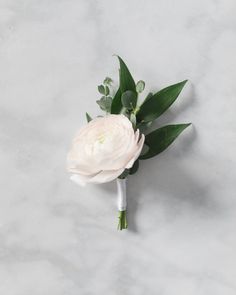 a white flower with green leaves on a marble surface