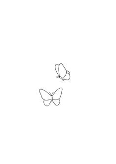 two butterflies flying in opposite directions on a white background