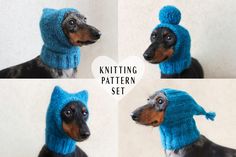 four pictures of a dog wearing a blue knitted hat