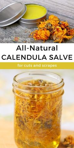 Salve Recipes, Calendula Oil, Herbal Healing, Herbs For Health, Homemade Remedies, Healing Herbs