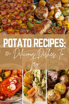 potatoes and other foods with the title potato recipes 101 delicious dishes to try