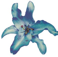 a blue flower that is on top of a white surface