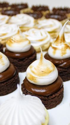 chocolate cupcakes with marshmallow toppings and seashell decorations on top