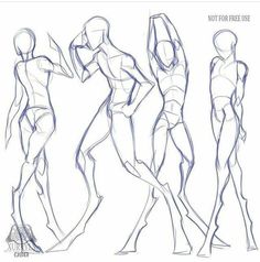 some sketches of different poses for the body