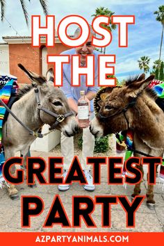 Beverage Beer burro party entertainment for kids adults teens families at Omni Scottsdale Spa and Resort in Paradise Valley Arizona for Cinco de Mayo Thirties Aesthetic, Party Ideas For Women, Wedding Beer