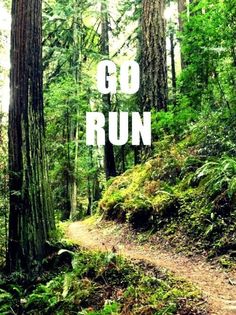 the words go run are written in white on a forest trail