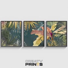 three framed paintings with tropical plants and leaves on the wall in front of a white background