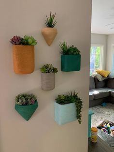 there are many potted plants on the wall in this living room, and one is hanging from the wall