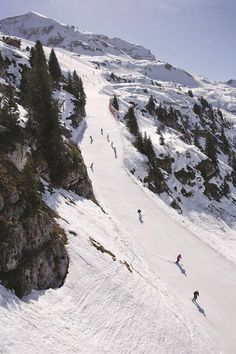 several people skiing down a snowy mountain side