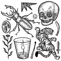 an ink drawing of various items used to create the skeleton and insect tattoo designs for kids