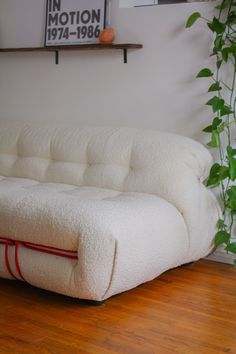 a white futon sofa sitting on top of a hard wood floor next to a green plant