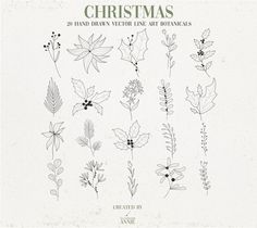 christmas hand drawn floral line art botanicals by knief - kreae