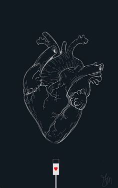 a black and white drawing of a human heart