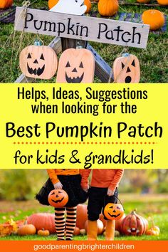 pumpkin patch for kids with text overlay that reads helps ideas suggestions when looking for the best pumpkin patch for kids and grandkids