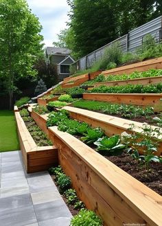 an outdoor garden with raised wooden planters and plants growing on the side of it