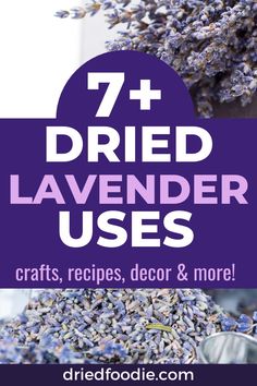 lavender flowers with text overlay that reads 7 dried lavender uses crafts, recipes, decor & more