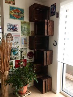 a room with some plants and pictures on the wall