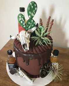 a chocolate cake decorated with cactus, cacti and other items on a plate