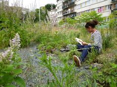 a woman sitting on the ground reading a book next to some plants and buildings in the background