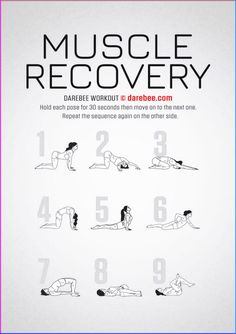 a poster showing how to use the muscle recovery program