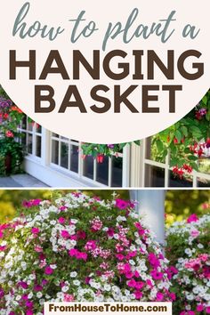 how to plant hanging baskets in the front yard