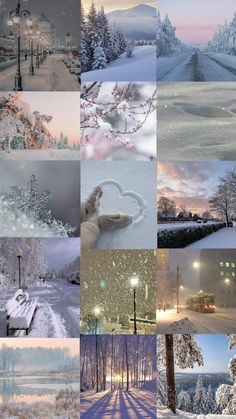 a collage of many different pictures with trees and snow