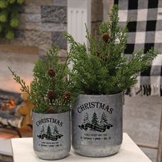 two tin cans filled with plants on top of a table