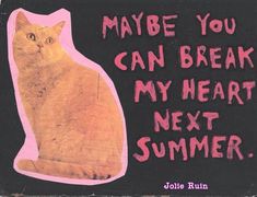 a sign that says maybe you can break my heart next summer with a cat on it