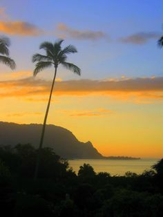 two palm trees are silhouetted against an orange and blue sky with mountains in the background