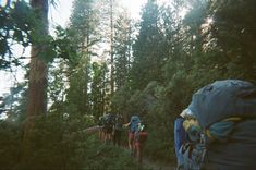 a group of people walking up a trail in the woods with backpacks on their backs