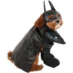 a dog dressed in a batman costume is standing on one leg and wearing a leather jacket