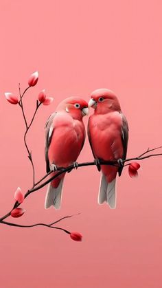 two red birds sitting on top of a tree branch with flowers in front of them