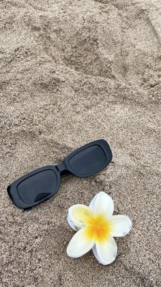 a flower laying on top of a sandy beach next to two black sunglasses with yellow and white flowers