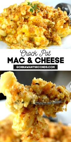 Crock Pot Mac and Cheese on a plate Cream Cheese Mac And Cheese Crock Pots, Crock Pot Recipes Mac And Cheese, Mac And Cheese Crock Pot Recipes, Crockpot Mac And Cheese Recipe With Breadcrumbs, Crockpot Meals Mac And Cheese, Max And Cheese Recipes Crockpot, Mac Cheese In Crock Pot, Football Mac And Cheese, Crockpot Mac And Cheese With Panko Crumbs