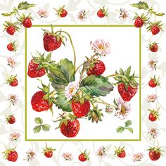 a painting of strawberries and flowers on a white background