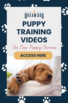 a puppy laying on top of a blanket with paw prints around it and the words how to train a puppy training videos for new puppy owners