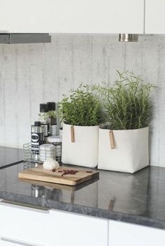 two planters sitting on top of a kitchen counter next to a cutting board and knife