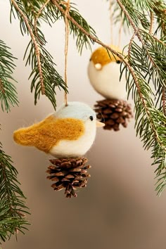 two small birds are hanging from pine cones on a tree branch, one is yellow and the other is white