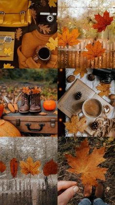 a collage of photos with autumn leaves, boots and other things on the ground