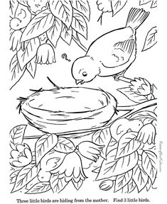 a bird is feeding from a bowl in the tree with leaves and flowers around it