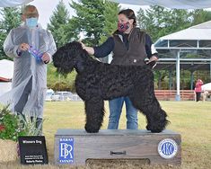 a woman standing next to a giant black dog