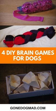 the four different types of brain games for dogs are shown in this collage with text that reads, 4 diy brain games for dogs