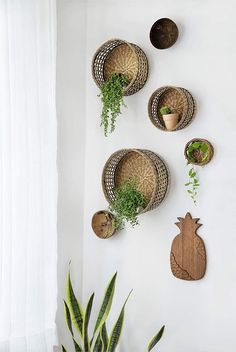 three pineapple shaped baskets are hanging on the wall next to a potted plant