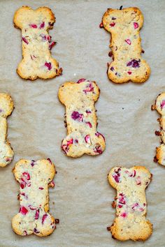 nine cookies with different toppings are arranged in the shape of dog bone shaped biscuits