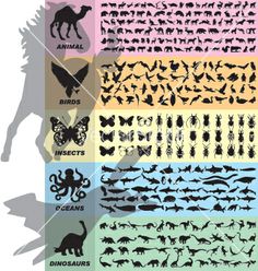 the silhouettes of different animals and birds