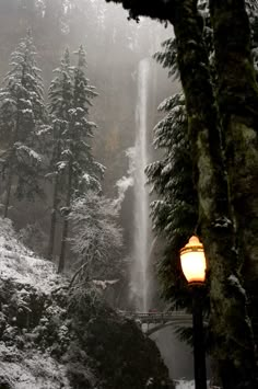 a street light in front of a snow covered forest with a waterfall coming out of it