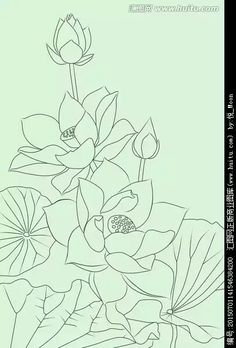 a line drawing of flowers and leaves on a light green background