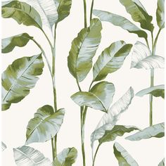 a green and white wallpaper with large leaves on the top of each leafy branch